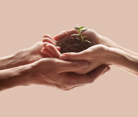 Top ESG consulting company in India